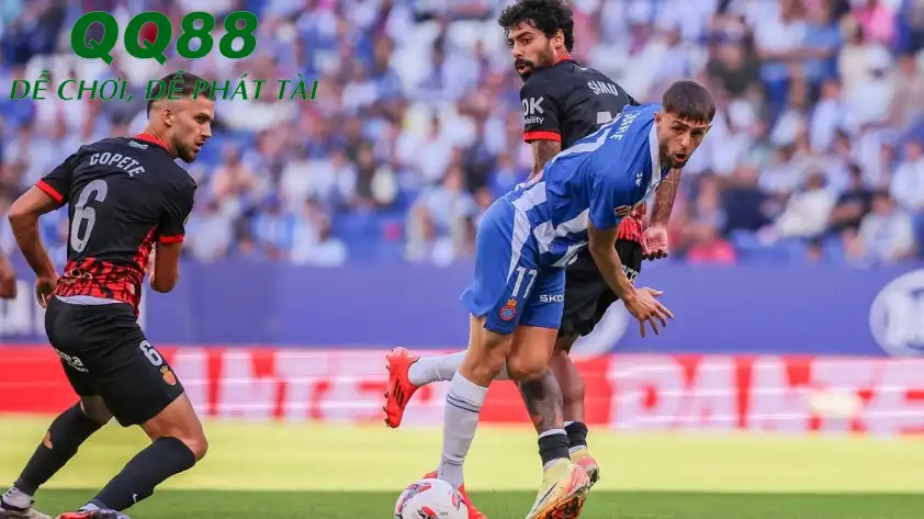 Real Oviedo và Mallorca đều muốn giành chiến thắng ở trận đấu sắp tới. (Ảnh: Internet) Real Oviedo và Mallorca đều muốn giành chiến thắng ở trận đấu sắp tới. (Ảnh: Internet)